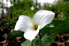 photo 0012
